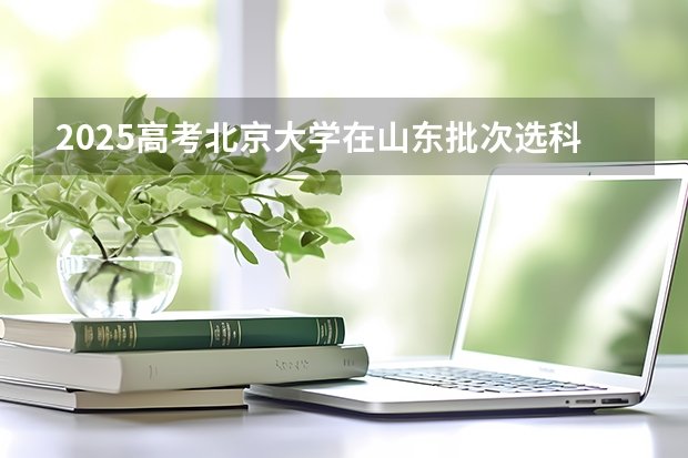 本科提前批B段